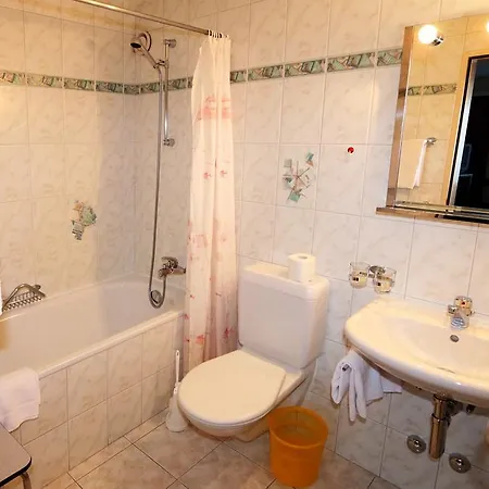 아파트 사라제나 Saas Fee